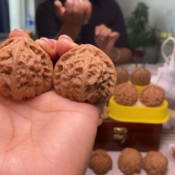 大***胖核桃43尺多的三角白
