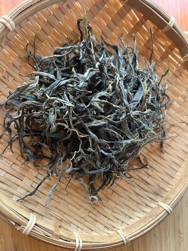 【开播交朋友】昔归大树 散茶100克（忙麓山核心区）