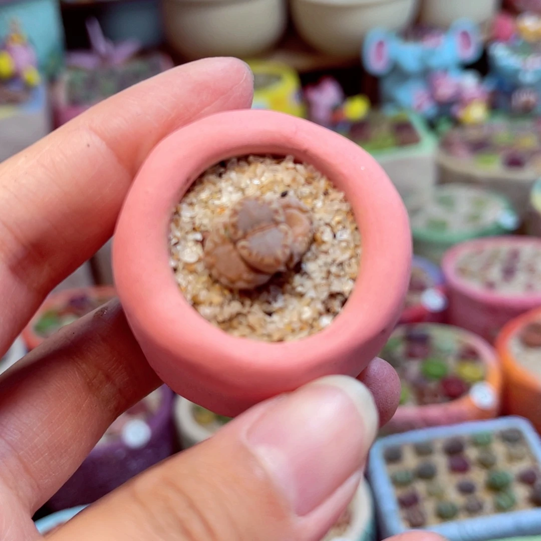 012。588888888888888888885