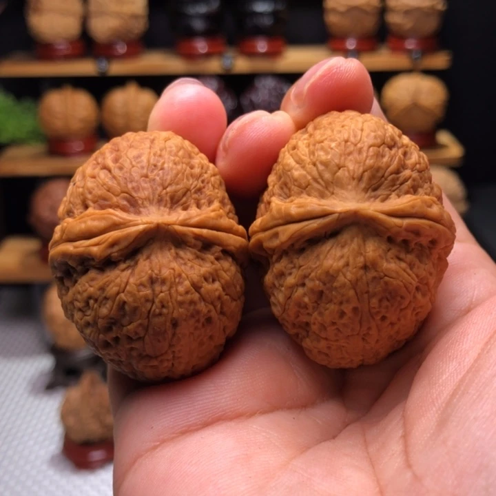 【闪购商品】红狐元宝49