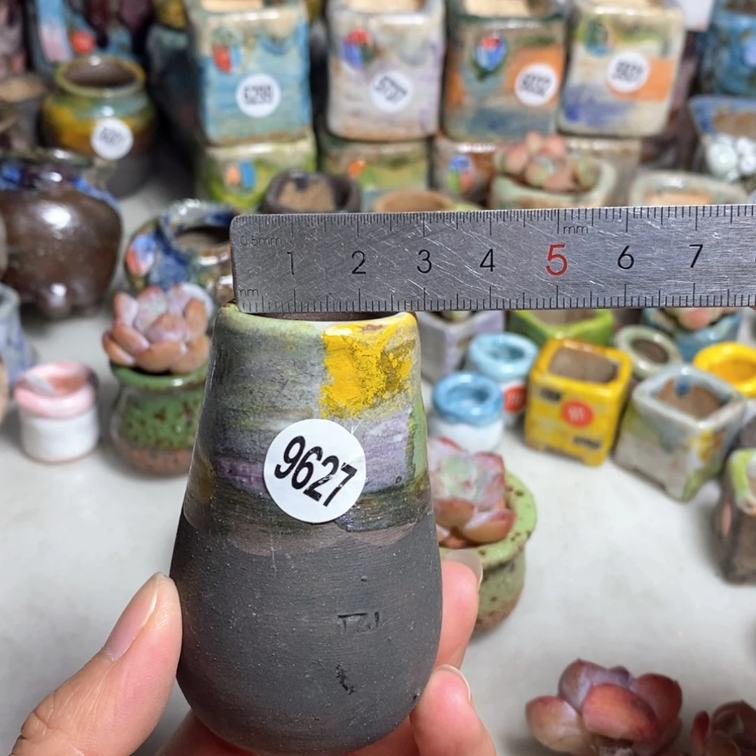 拍5送一个小礼物