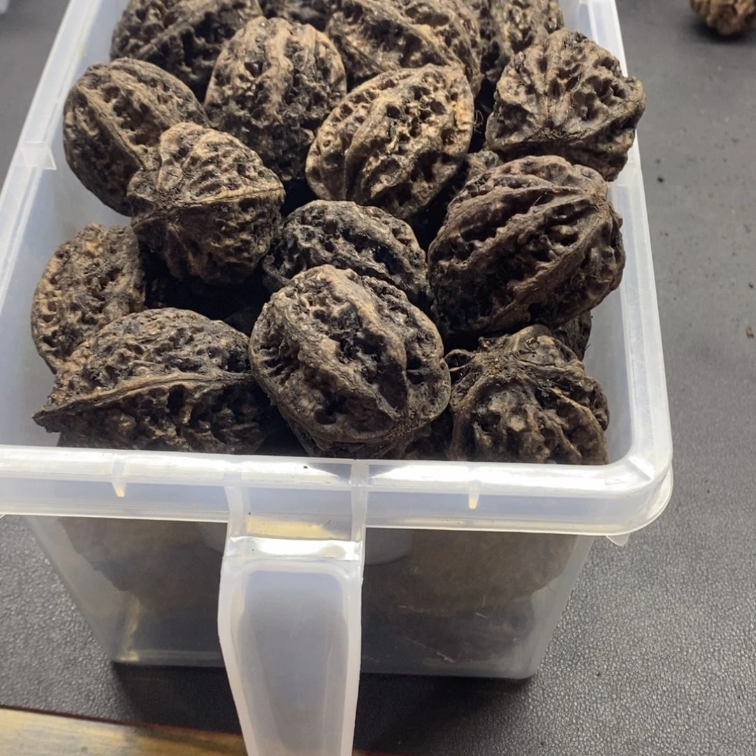 劳***山文玩核桃吊坠楸核尖商骄家