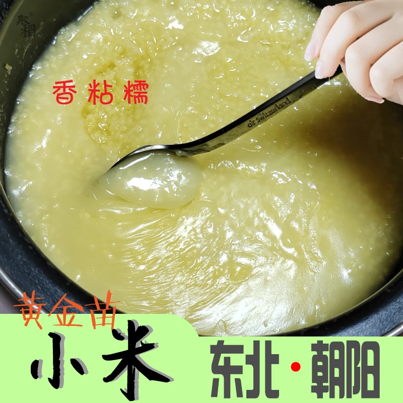 东北小米月子米粘糯香浓小黄米杂粮谷子真空装农家25新货粗粮煮粥