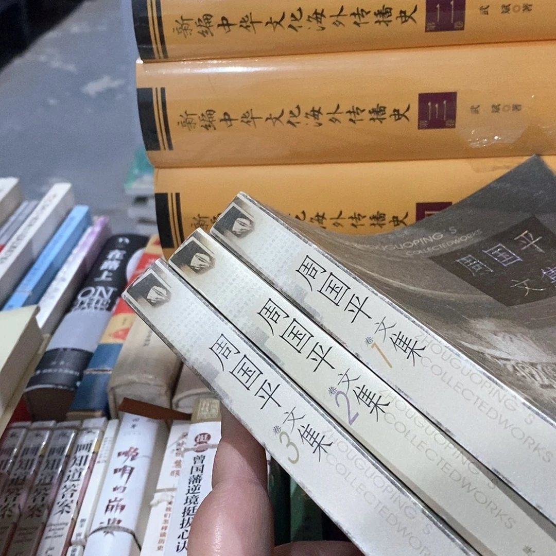 周国平文集  全三册
