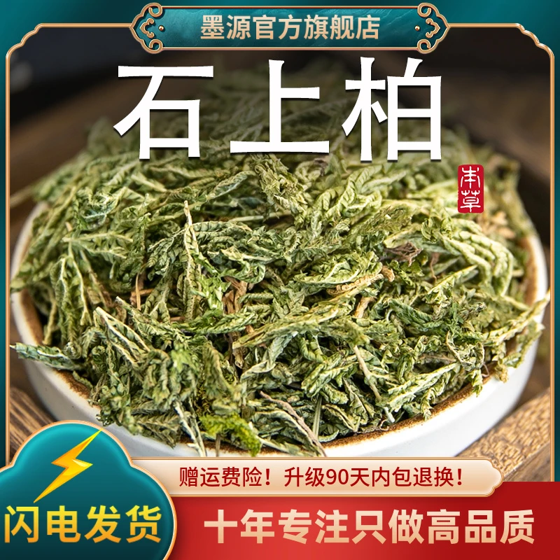 石上柏中药材石上柏非野生深绿卷柏石上柏卷柏中草药地侧柏新干货