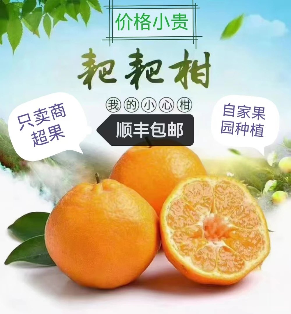 精品果四川春见耙耙柑新鲜水果酸甜多汁橘子顺丰包邮自家果园种植