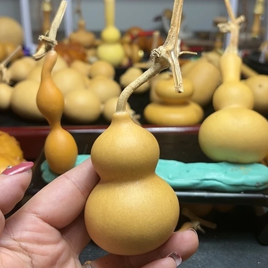 ꧁**꧂葫芦葫芦葫芦葫芦