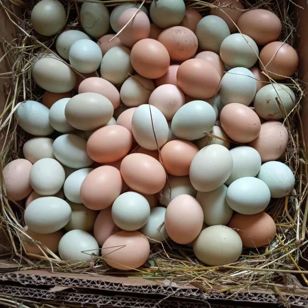 顺丰包邮农家散养正宗新鲜土鸡蛋山林纯五谷喂养孕妇月子营养蛋