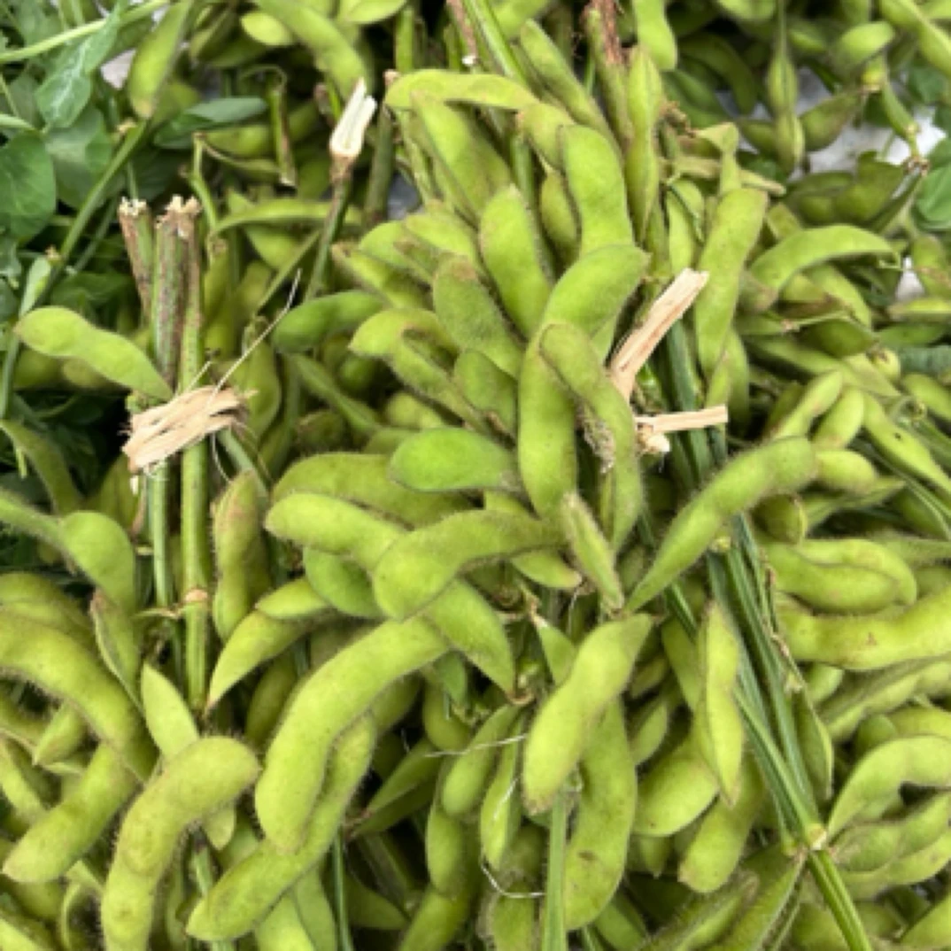 毛豆 大集现收 新鲜蔬菜