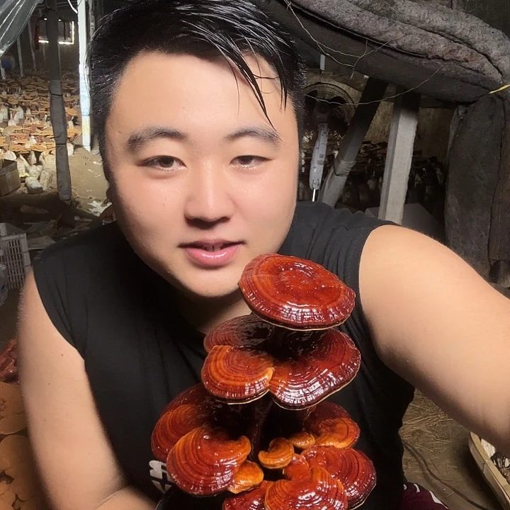 无花朵爱****爷灵芝花开了