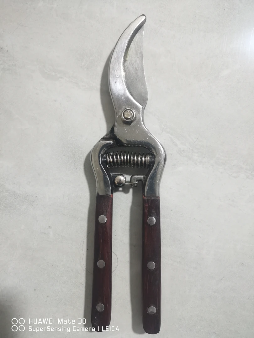 技术水曲柳木柄修枝剪锋利耐用适用于园林果树修剪