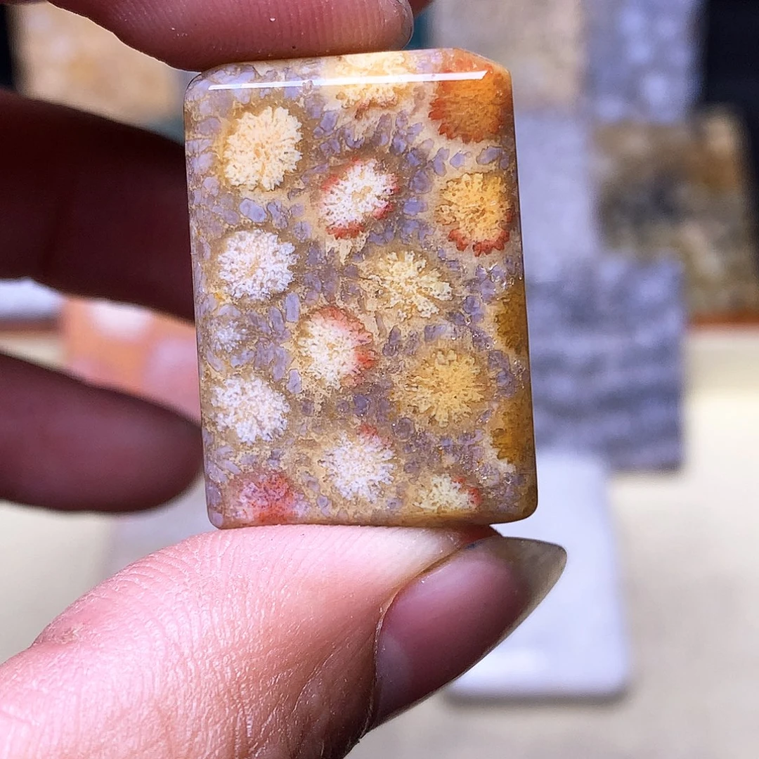 硅化玉珠宝奇石合金～***～