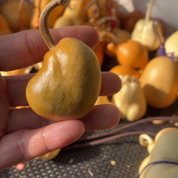 葫***友葫芦哈哈哈哈哈哈哈哈