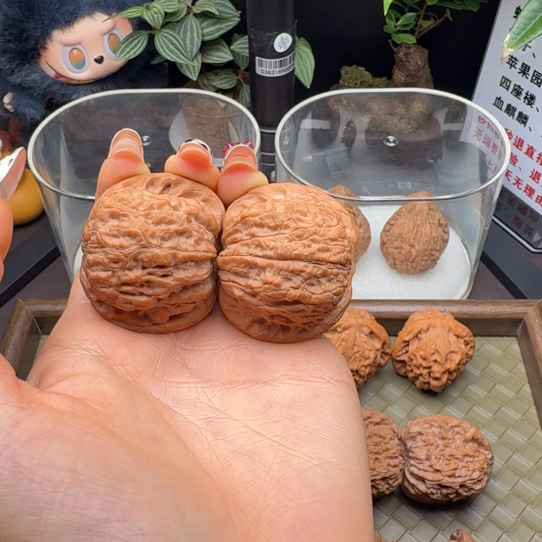 核桃全品血麒麟40（小水尖）