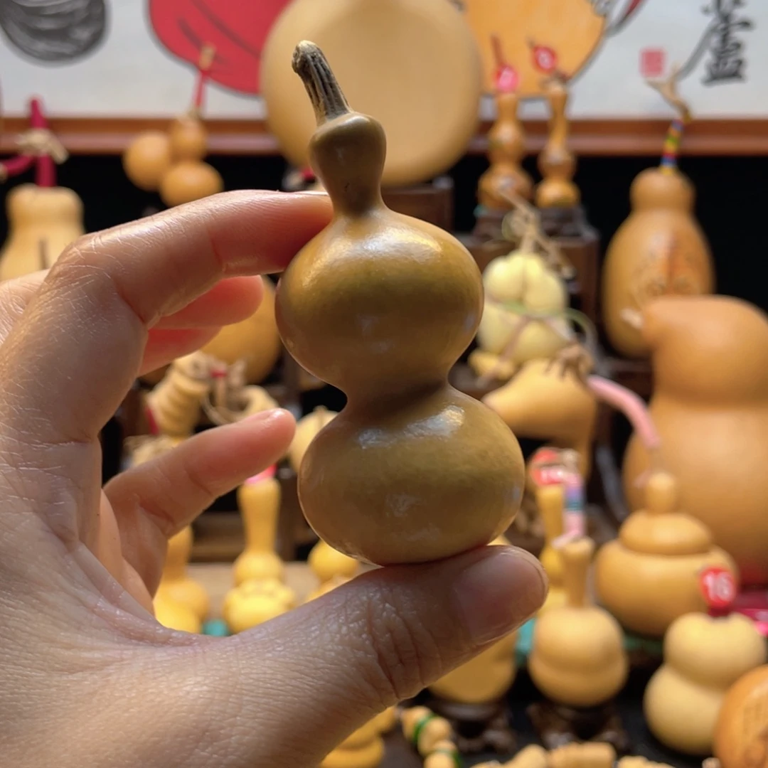 除****内大自然的秘密第十一节的故事