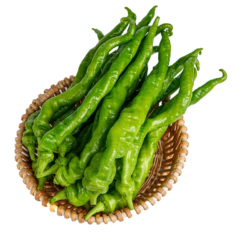 农家新鲜螺丝椒皱皮椒现摘现发香辣好吃蔬菜1KG
