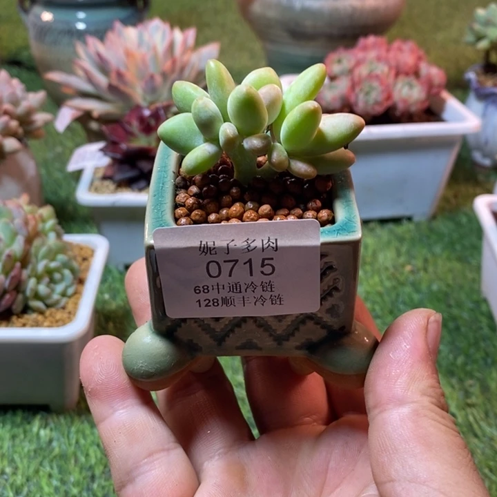 0715啊啊啊啊啊啊啊啊啊啊