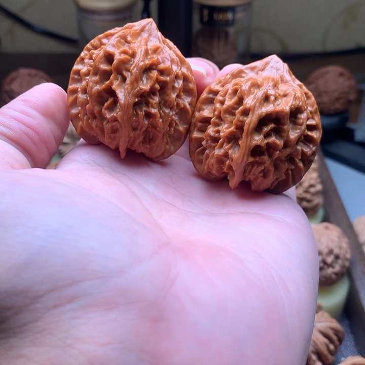 大龙大的点点滴滴