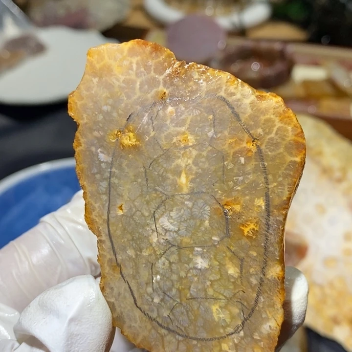 【闪购商品】未镶嵌珊瑚玉硅化玉
