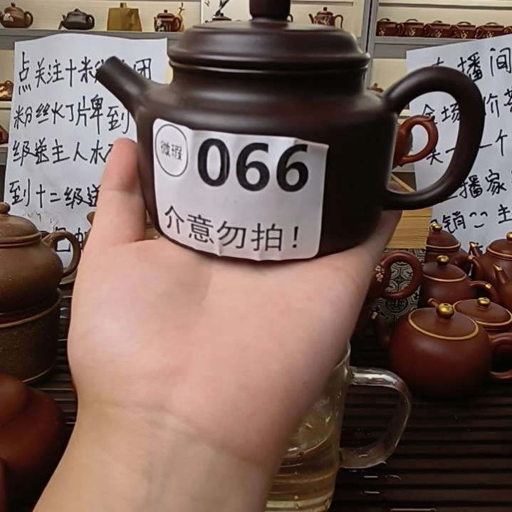 茶壶紫砂哦哦哦哦哦哦哦哦