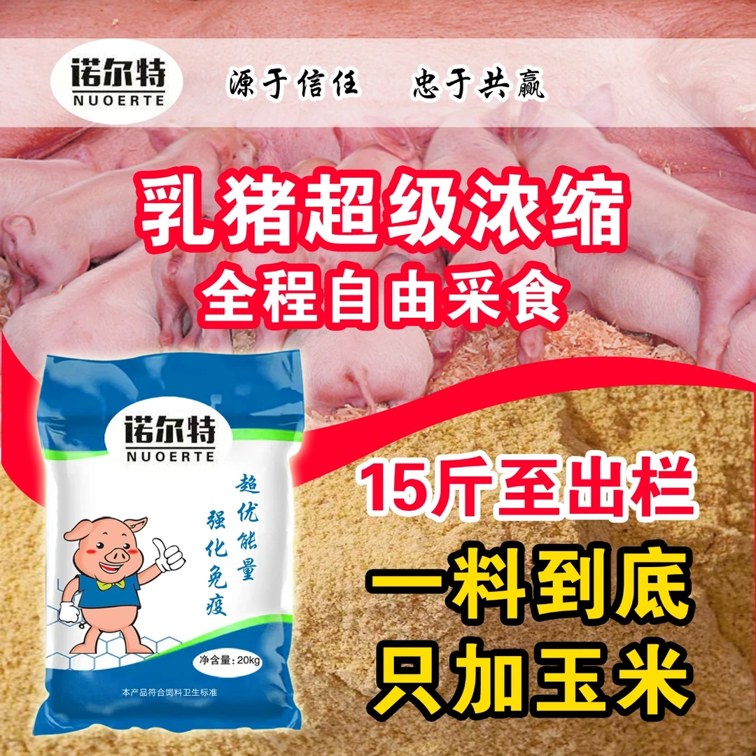 15斤到出栏20%乳猪浓缩料超级猪饲料养猪人20