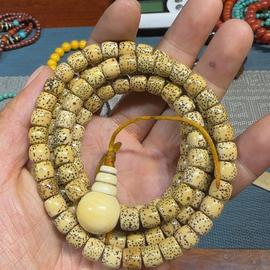 好看的喜欢带回家