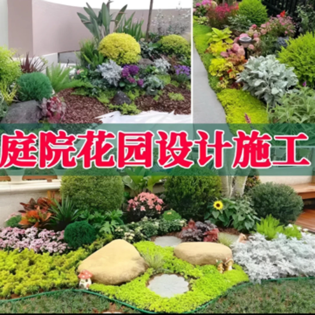 花园庭院花镜设计搭配耐热耐寒新手好养护多年生四季开花选配