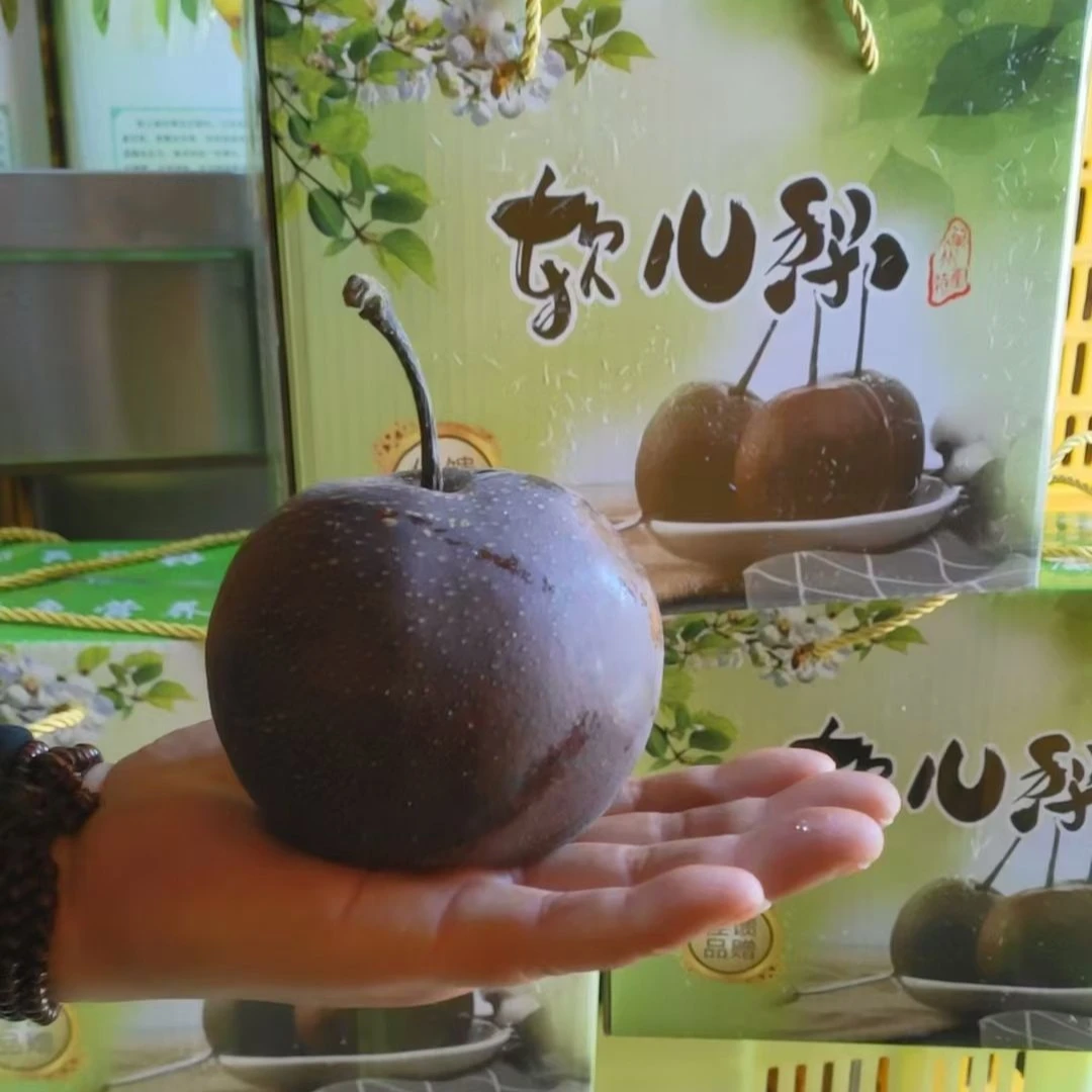 兰州什川软儿梨（省外顺丰空运到包邮）