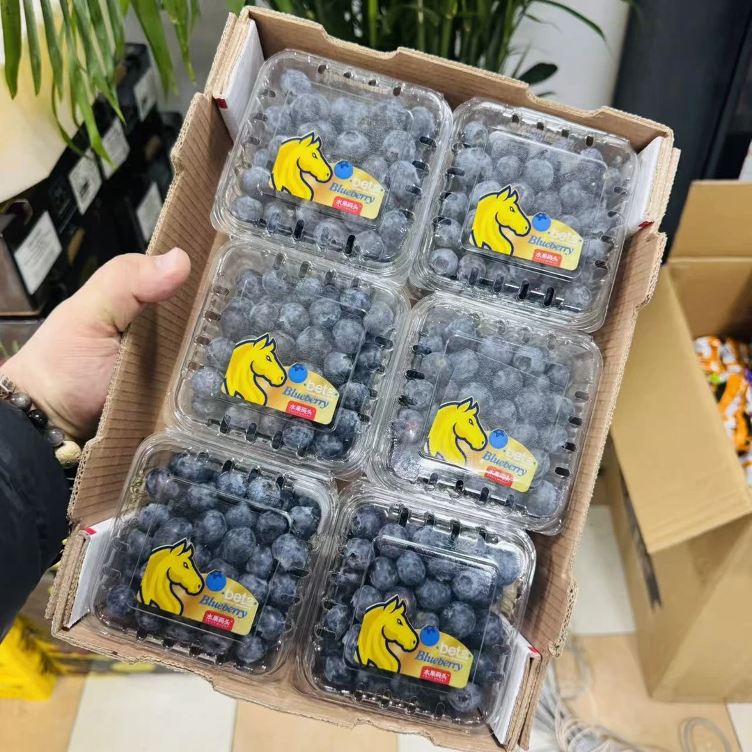 【整箱】水果码D 纯甜口蓝莓  花香味足（单盒125g）只发天津市除县区
