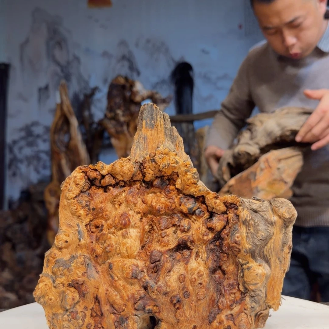 林***咪木三丰琥珀木 天然摆件12