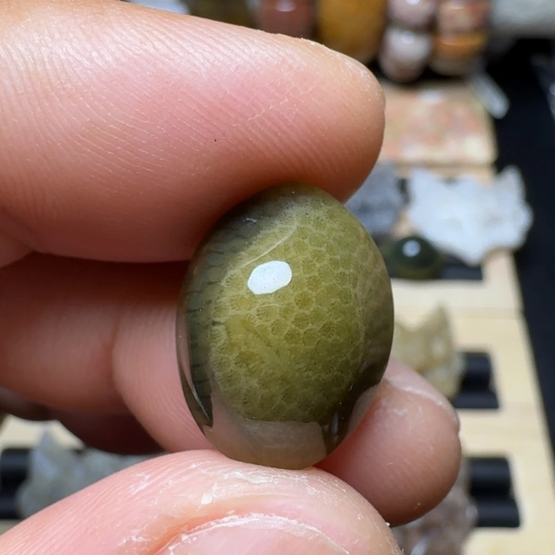 未镶嵌纯天然色有机玉石保真色硅化玉