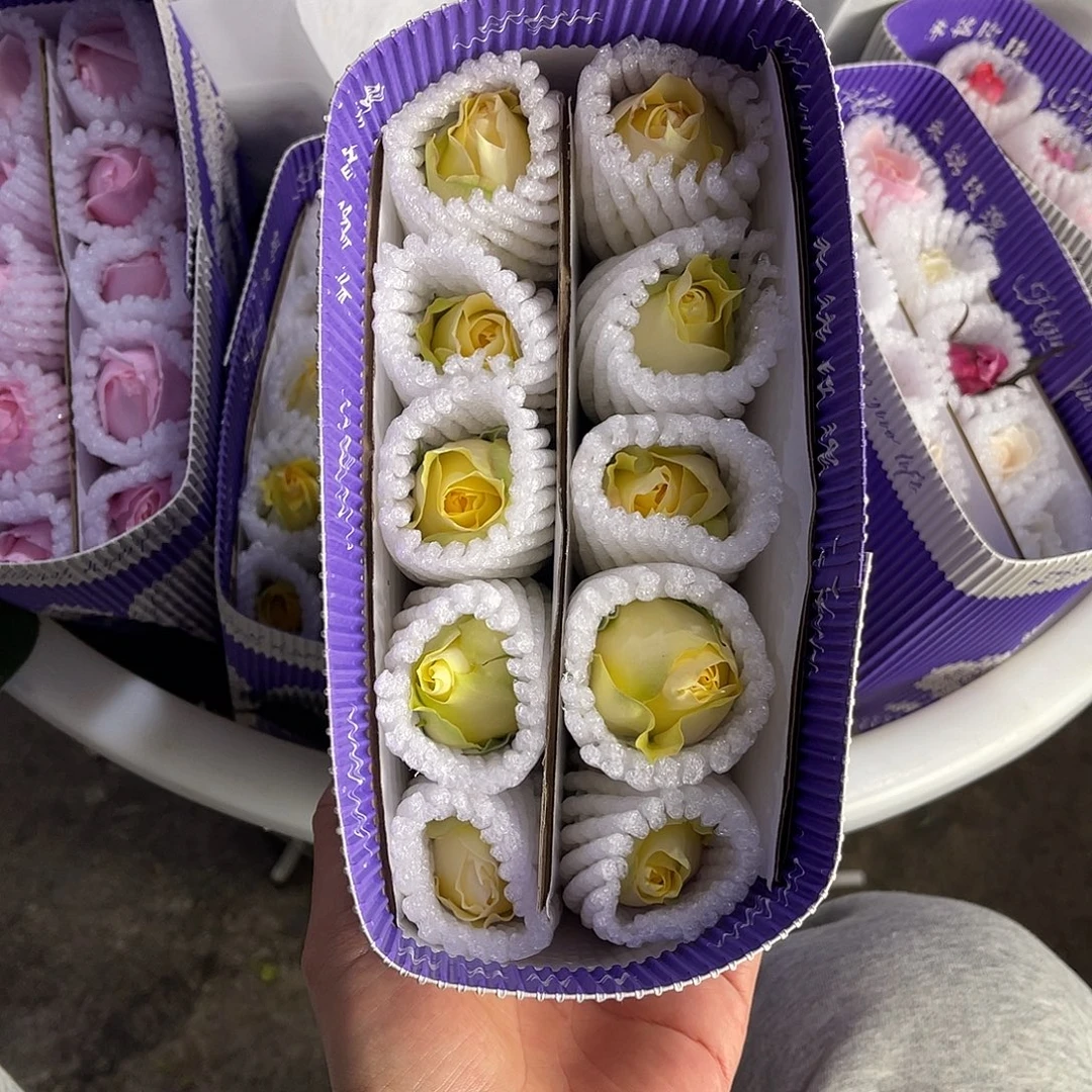 完全开放禾锦（阳光古董）单头10枝