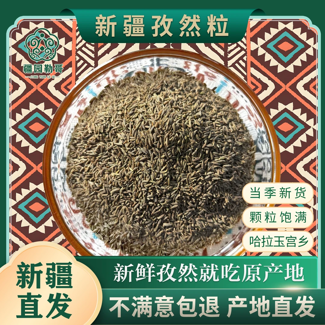 新疆颗粒孜然无尘无渣无土适合户外烧烤