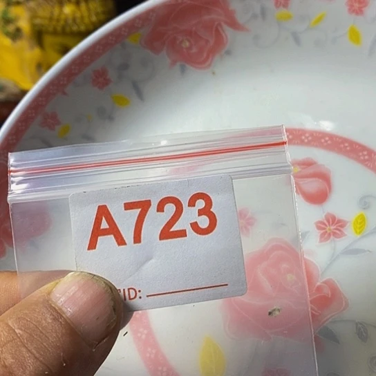 幸***草瓷片我想知道你们现在