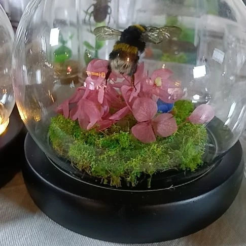 玻璃只要熊蜂王不要草和花