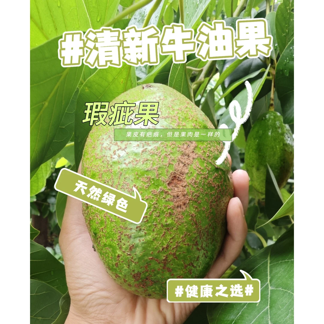 【阳光花城攀枝花牛油果】5-7枚300g-550g细腻顺滑坏果包赔