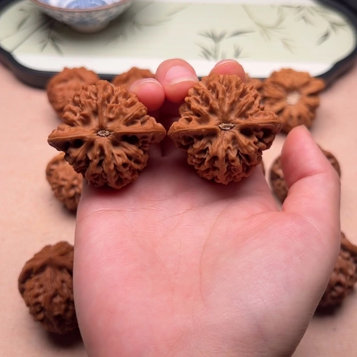 大叶紫檀（黑酸枝木类）