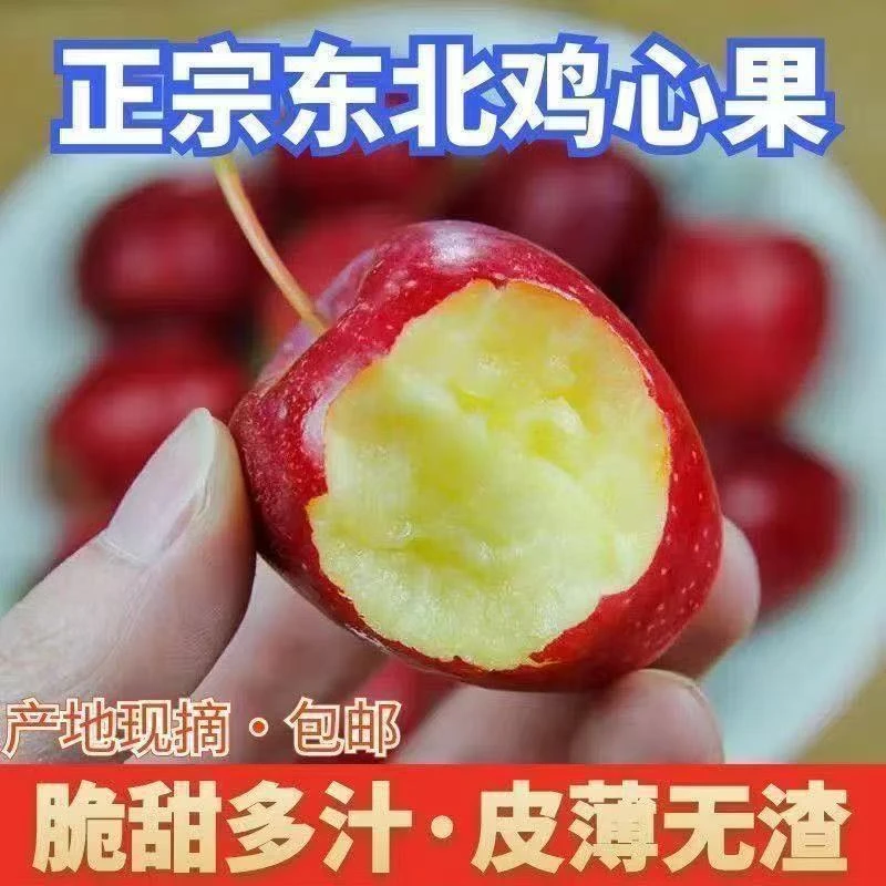 【顺丰】东北鸡心果辽宁产地直发脆甜多汁新鲜采摘小苹果