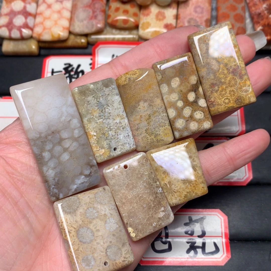 【闪购商品】未镶嵌颈饰硅化玉✨****✨