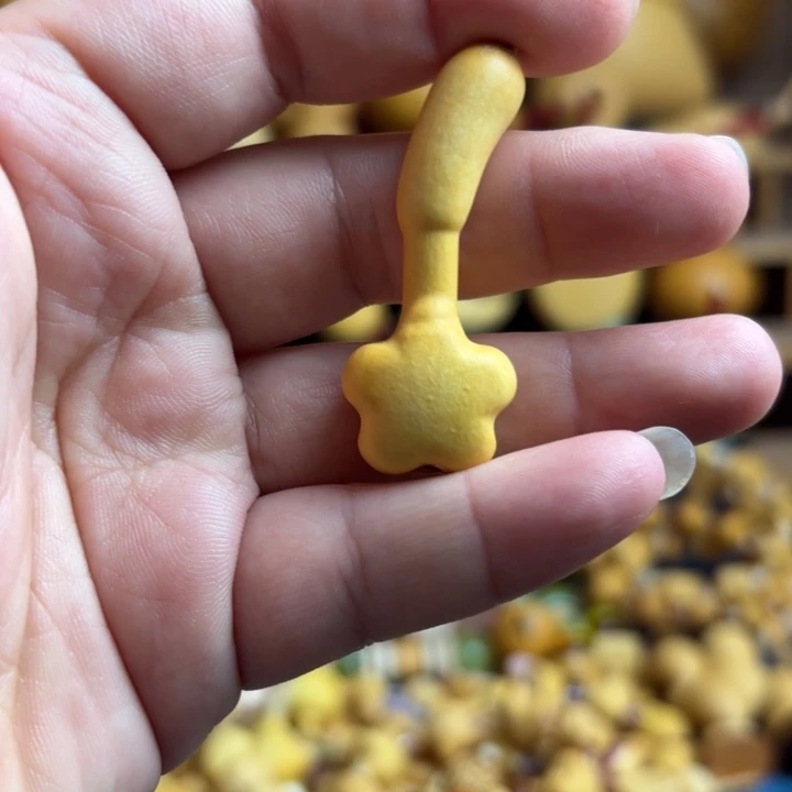 *****木天然葫芦模具星星