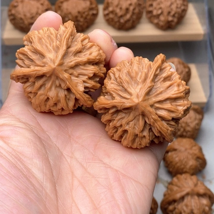 核桃把件文玩核桃帝王奔