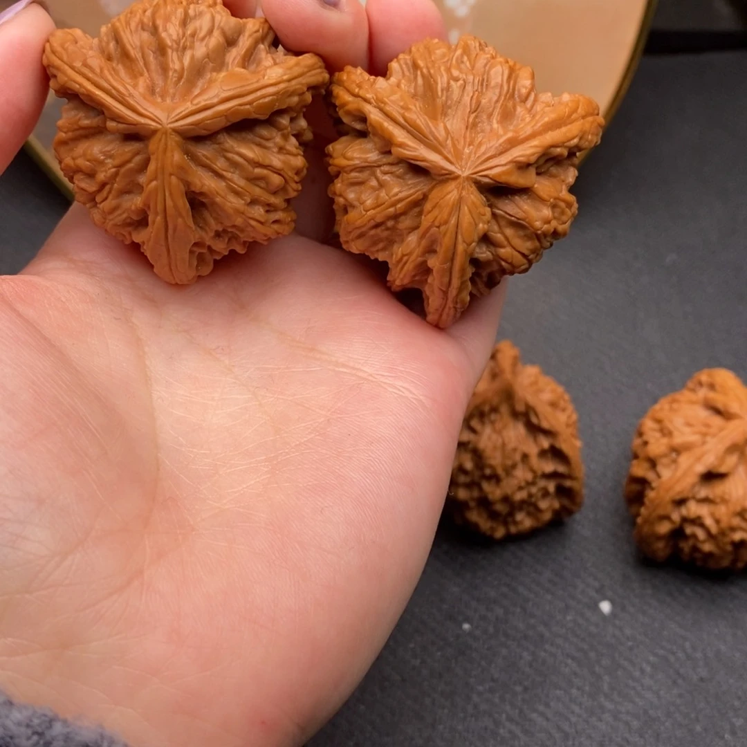 風*白狮子1111111111