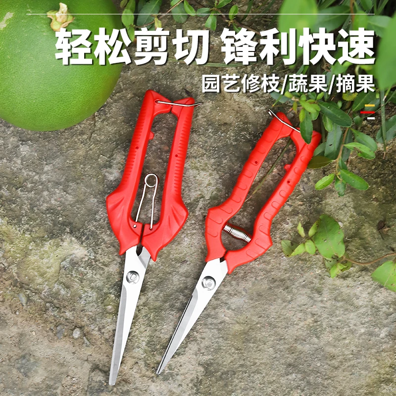 【摘果剪】采摘花椒剪修花枝摘果神器修剪葡萄水果专用蔬果剪刀工