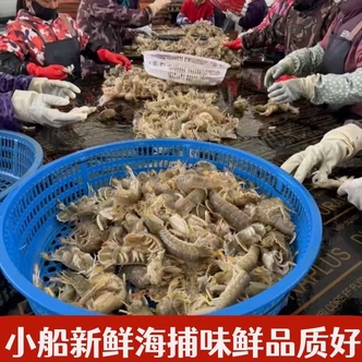[顺丰冷链] 买3斤送2斤 深海野生虾原产地直发共5斤熟冻锁