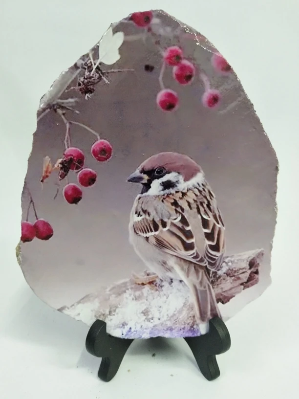 18*14，手工制作石头画，麻雀送红果，防水不掉色，永久保存