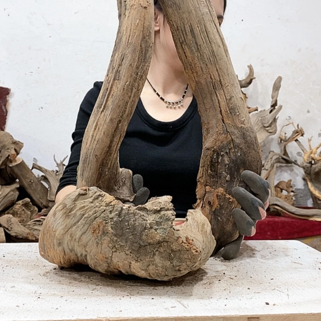 【闪购商品】柏木李*一我们都是好孩子