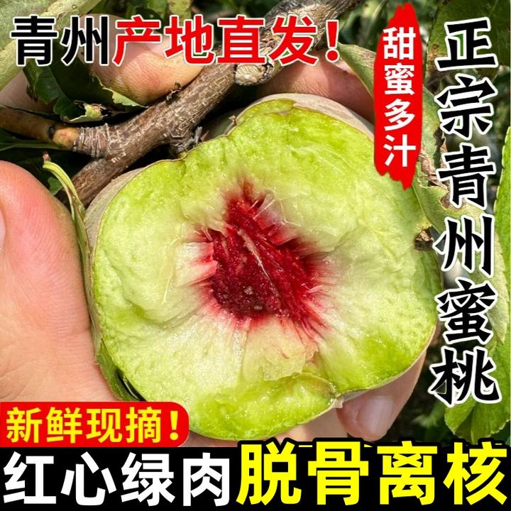 【山东青州蜜桃】正宗全红蜜现摘脆甜秋桃山地毛桃应季新鲜水果