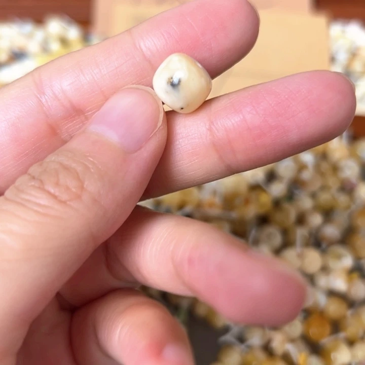 蜜蜡未镶嵌裸石10.2mm一个