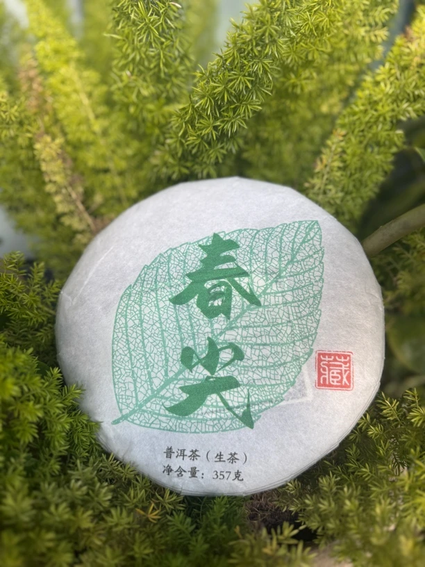 2018年大雪山春尖普洱茶生茶357克