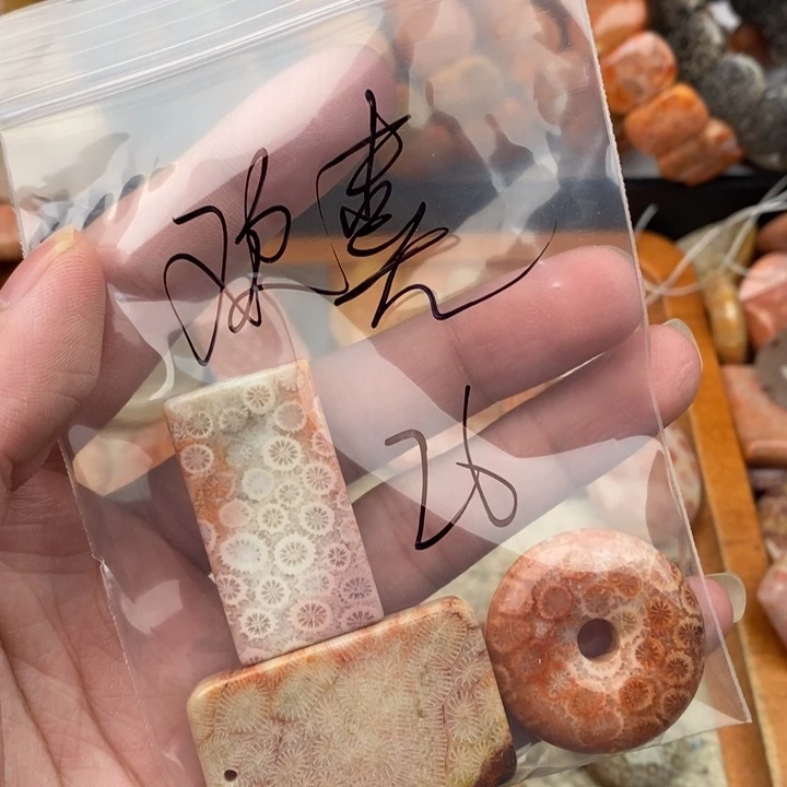 欢***哥颈饰未镶嵌硅化珊瑚（珊瑚玉）